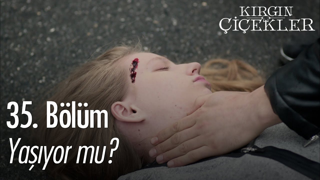 Aleyna'ya araba çarpıyor! - Kırgın Çiçekler 35. Bölüm