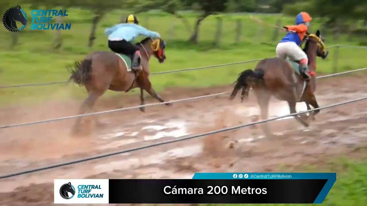 Vaquero vs Cantor 