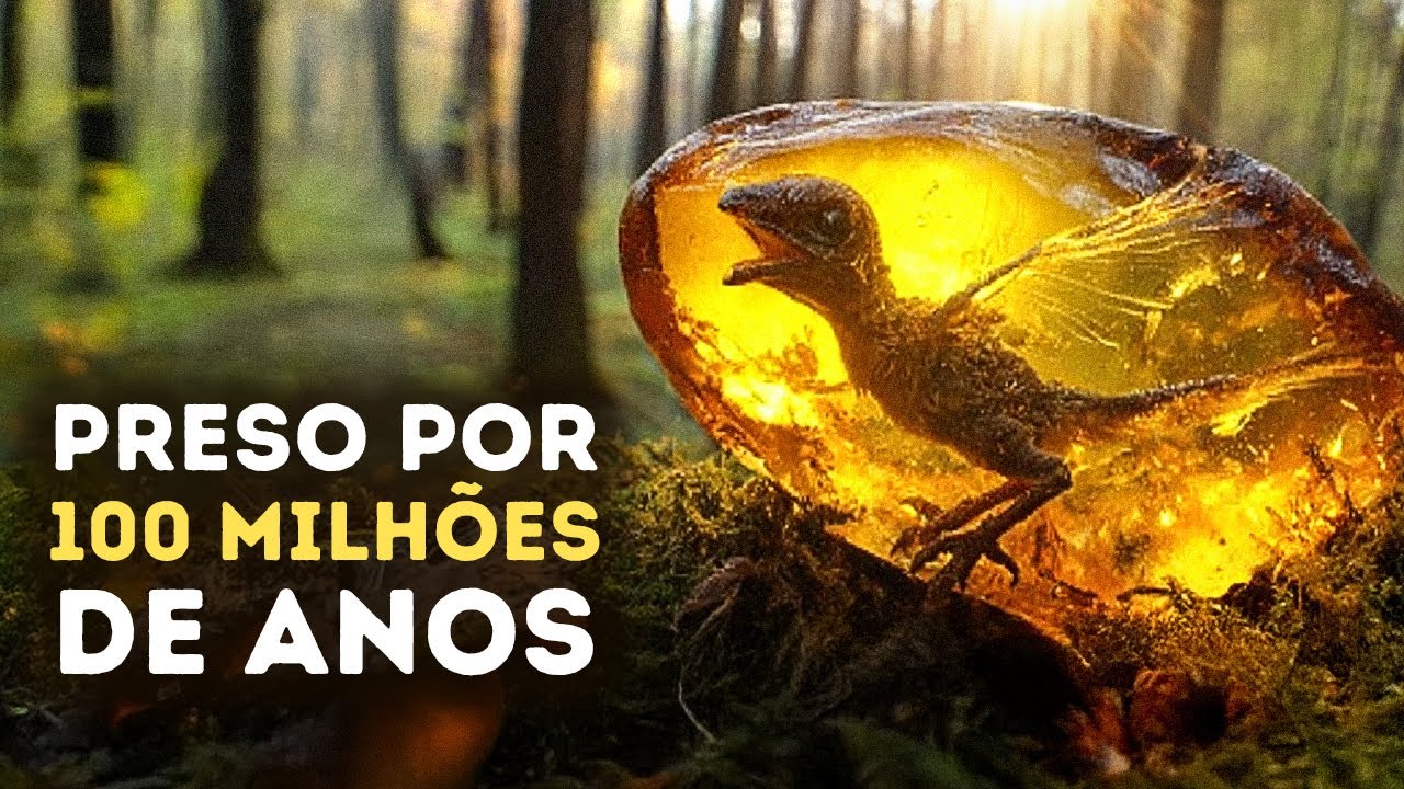 As coisas mais bizarras já encontradas congeladas em âmbar