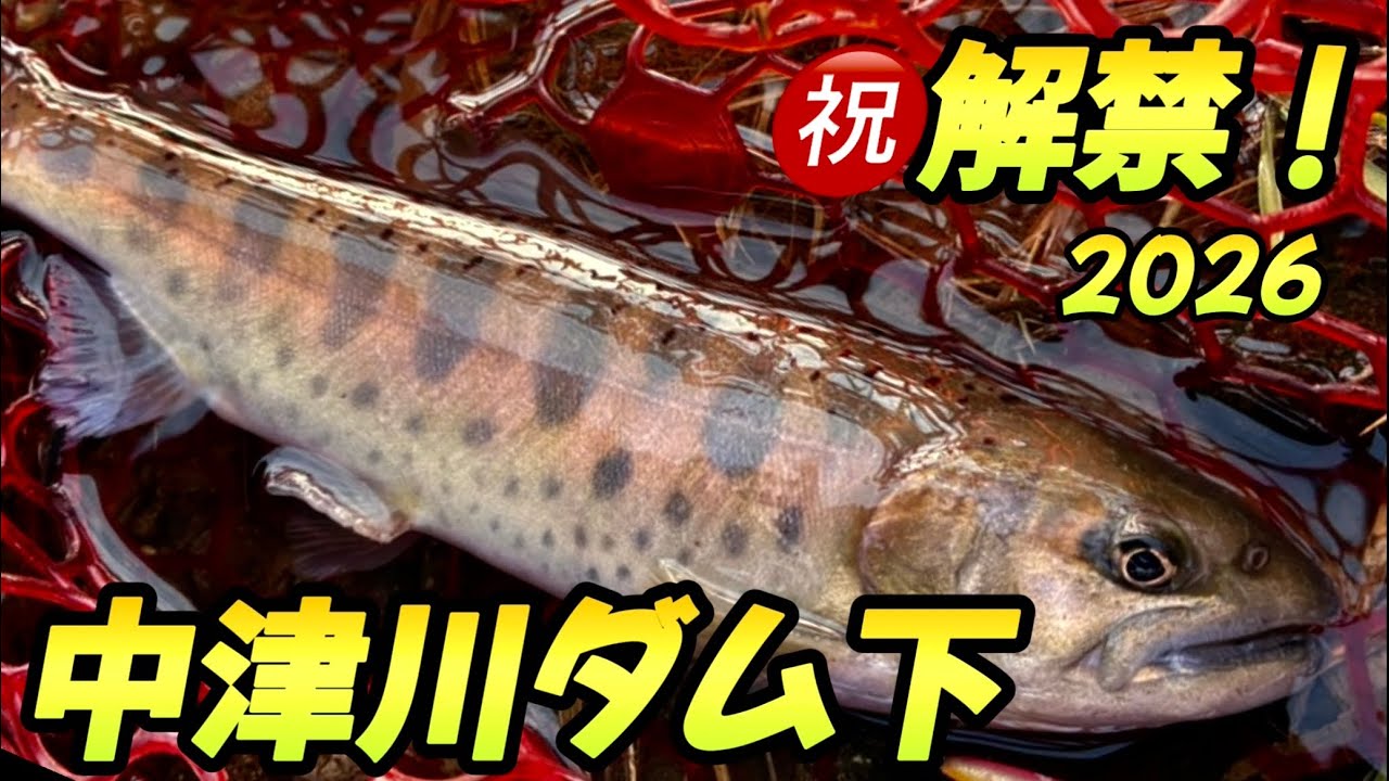 祝解禁2026！中津川ダム下