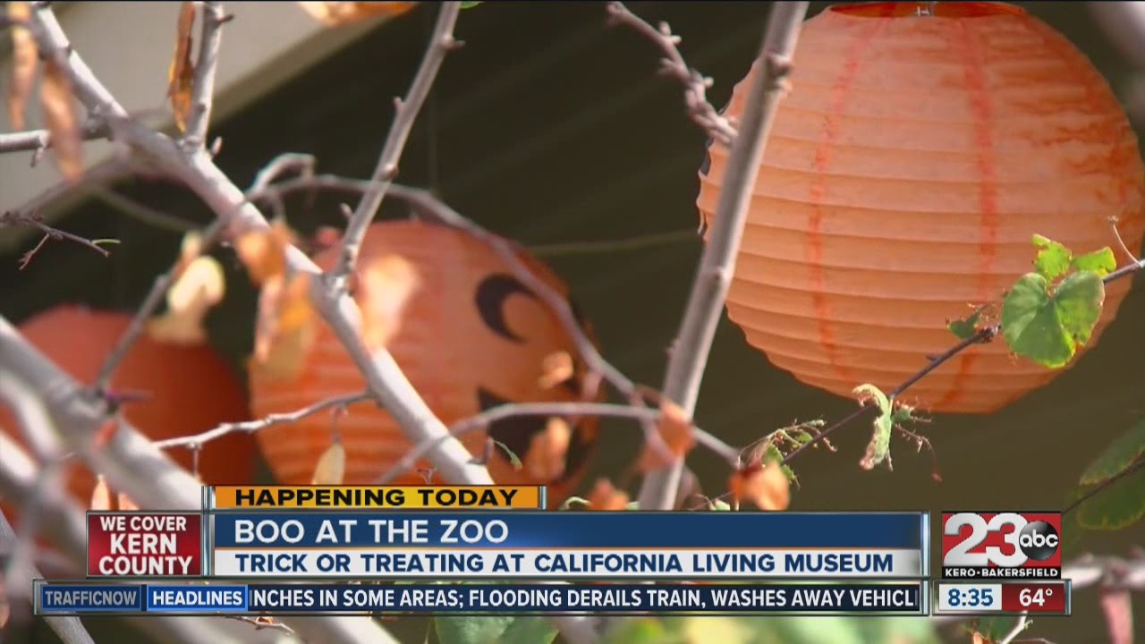 CALM Zoo hosts its annual 