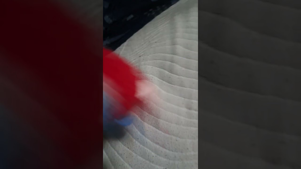 tarea mojada