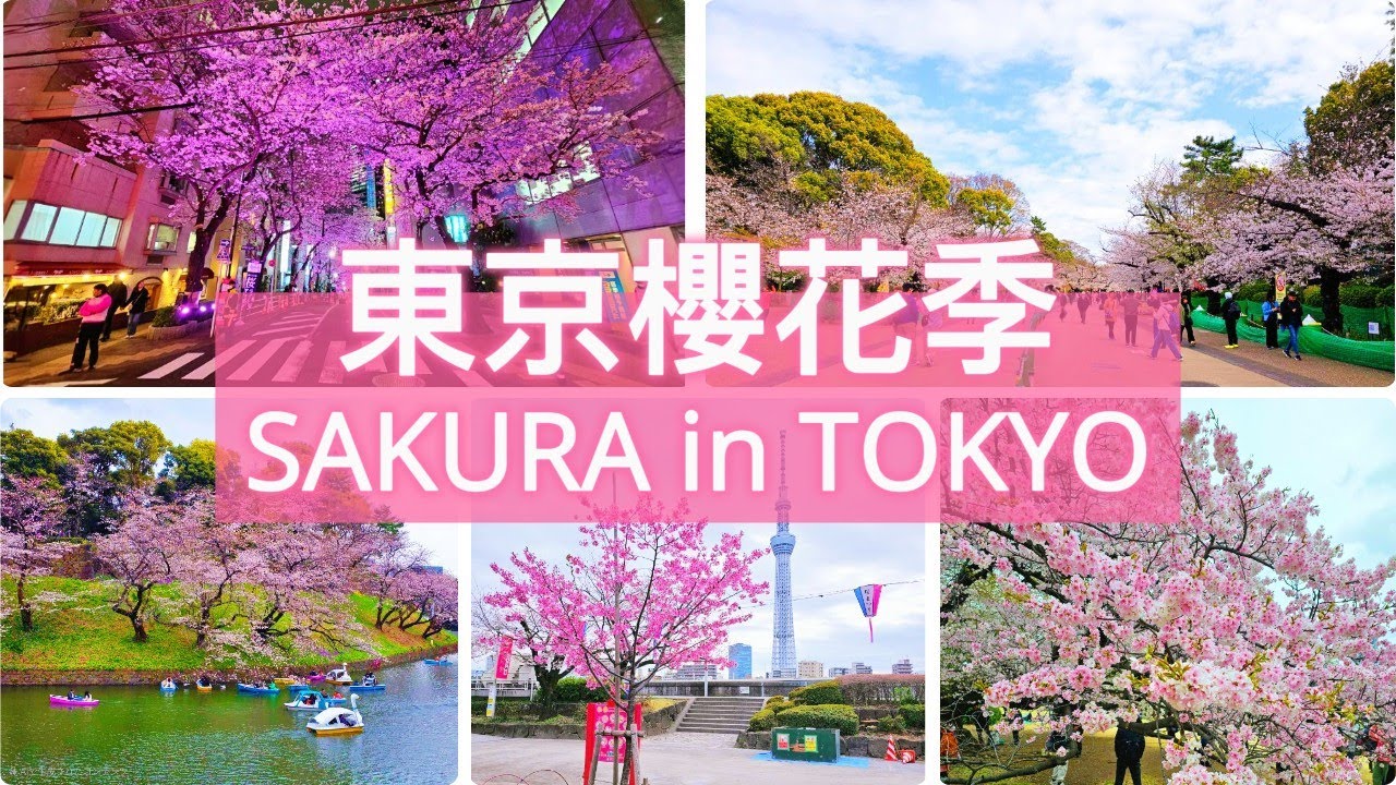 東京櫻花季🌸5大必訪賞櫻景點 | Sakura in Tokyo – Top 5 Sakura Spots