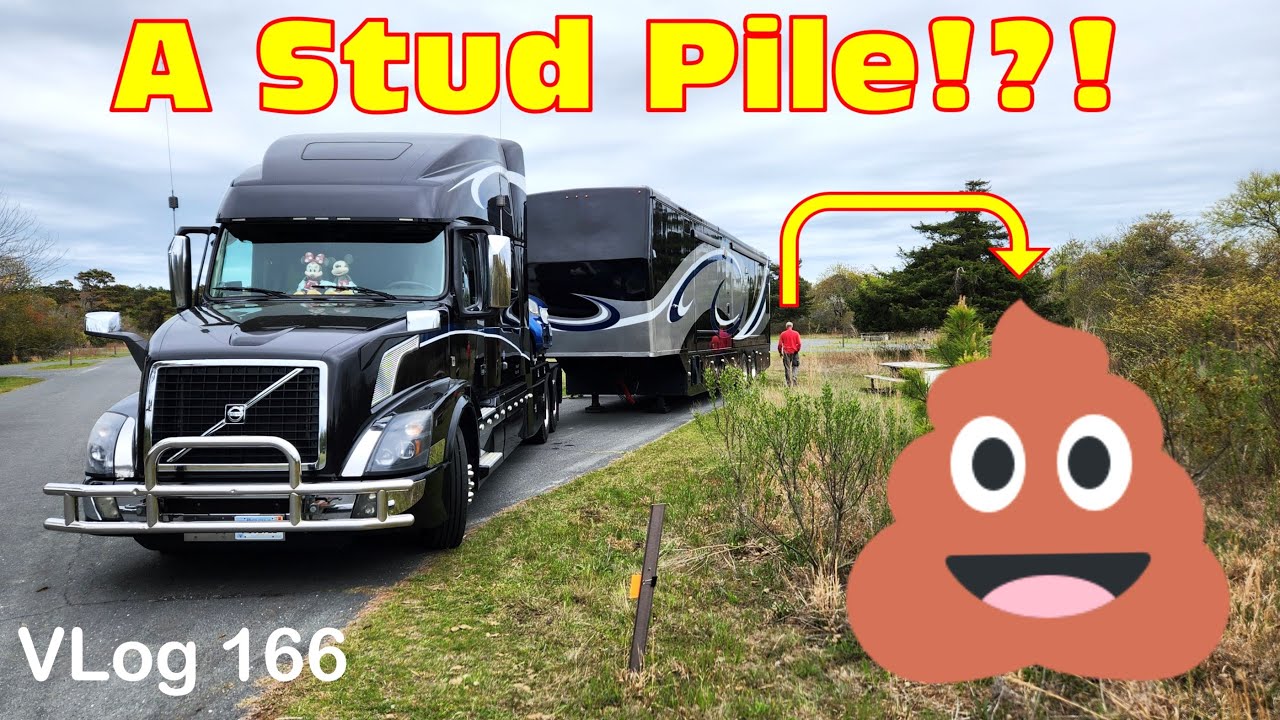 STUD PILES?!? OUT of Control wild horses. Assateague Island horses. HDT RV Lifestyle. Adventure