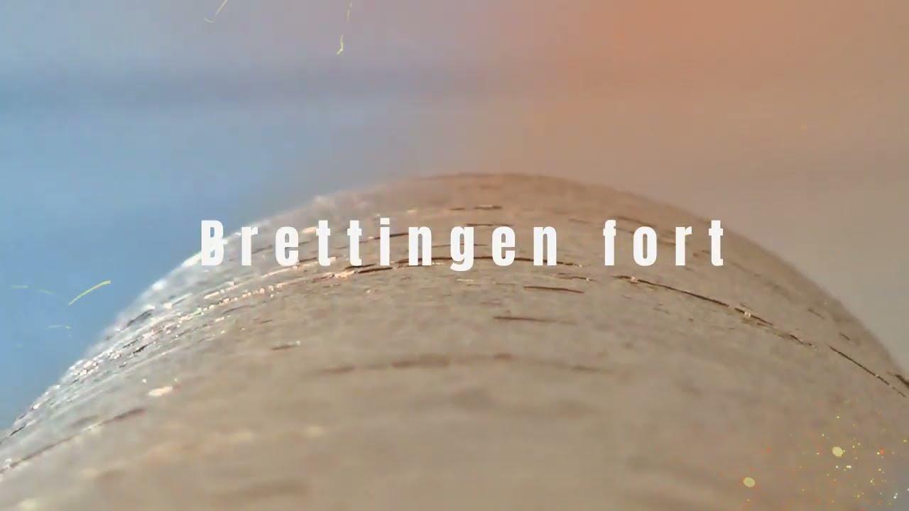 Brettingen fort