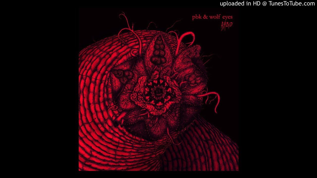 PBK & Wolf Eyes &lrm;&ndash;  Contaminated Strain