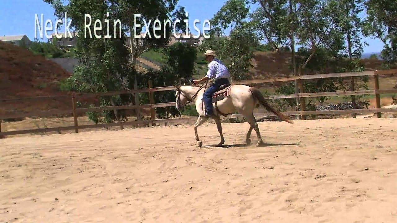 Neck Rein Exercise