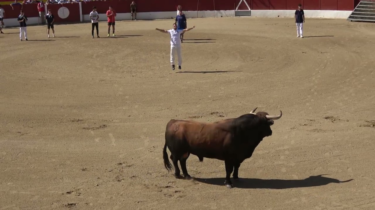 El Casar 9 de septiembre 2025 primer toro