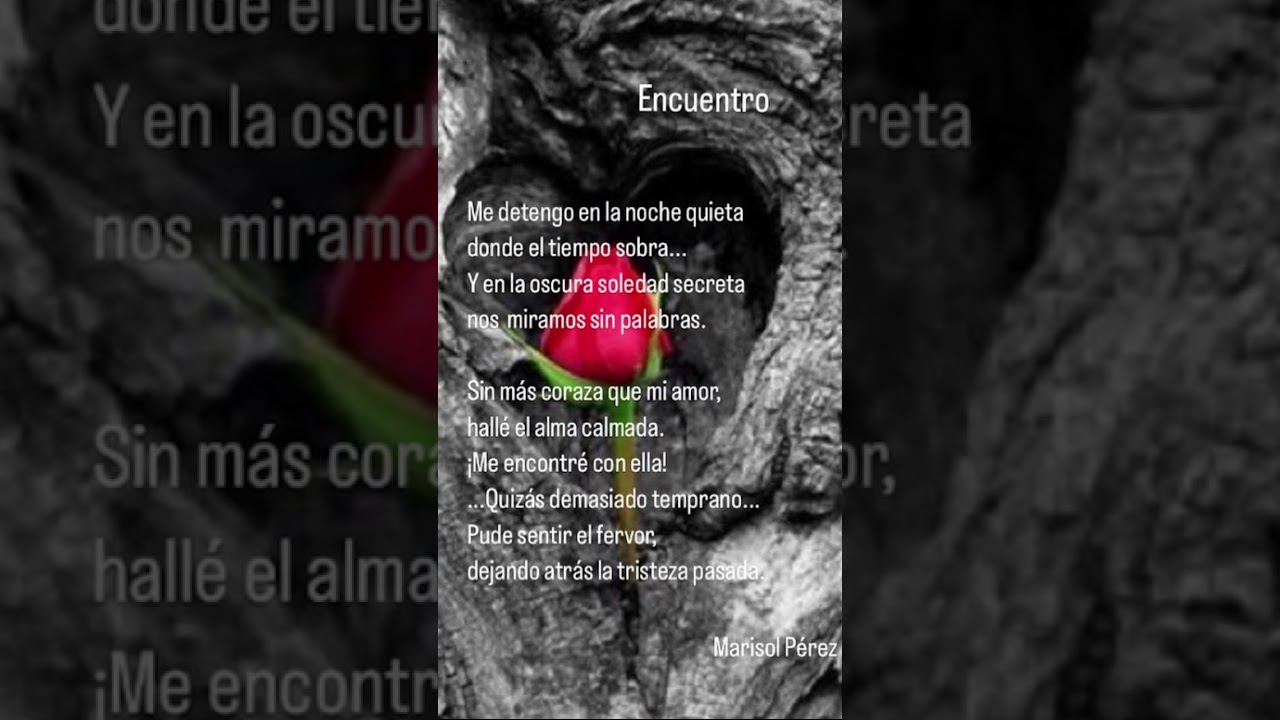 Poema: “Encuentro”.                            