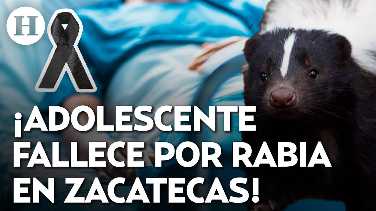 ¡Alarma sanitaria en Zacatecas! Joven de 17 años muere por rabia tras ser mordida por un zorrillo