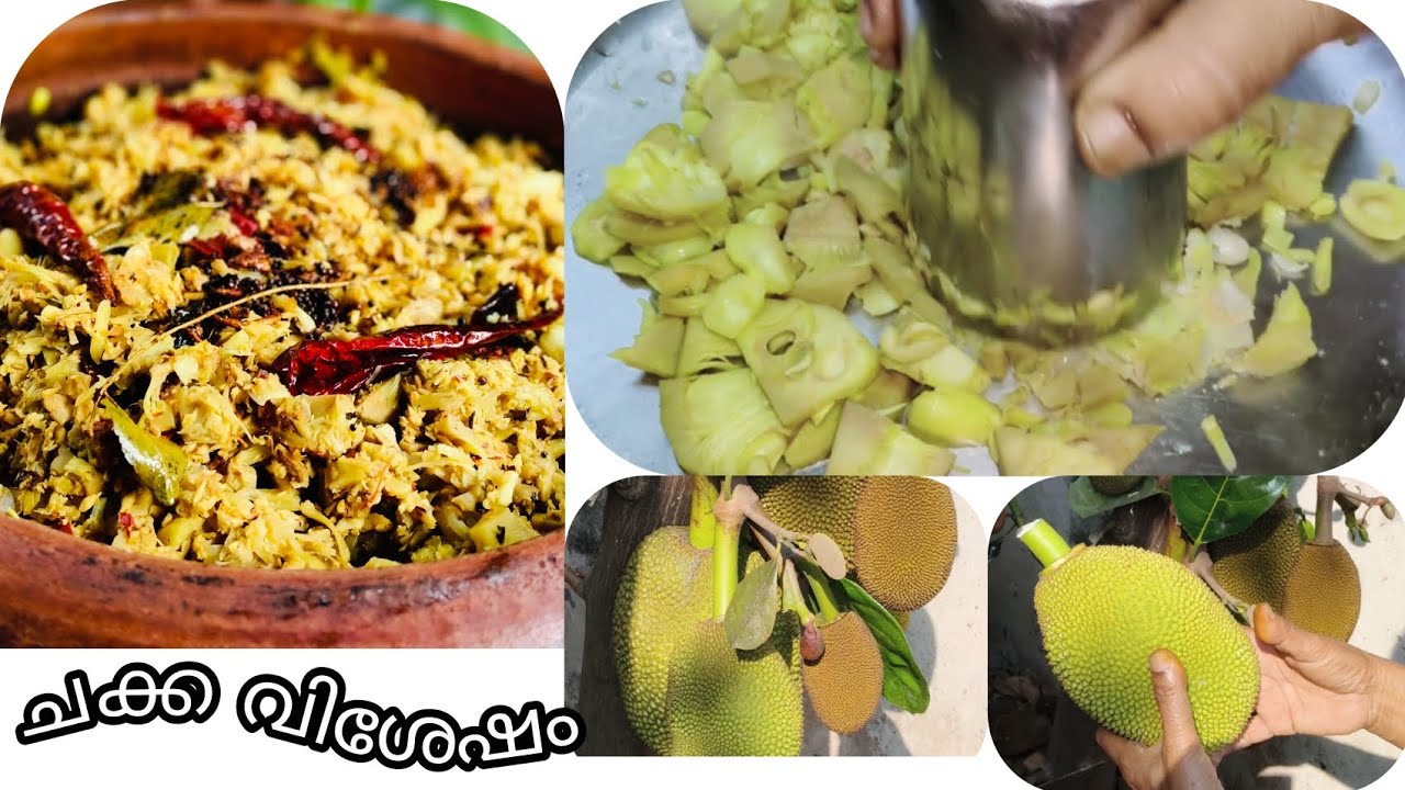 നമ്മുടെ നല്ല ചക്ക വിശേഷം 🥰😍#cooking#gardening#jackfruit 