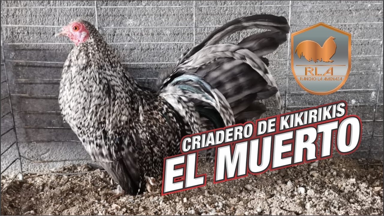 Comienza la aventura criadero el mu3rt0
