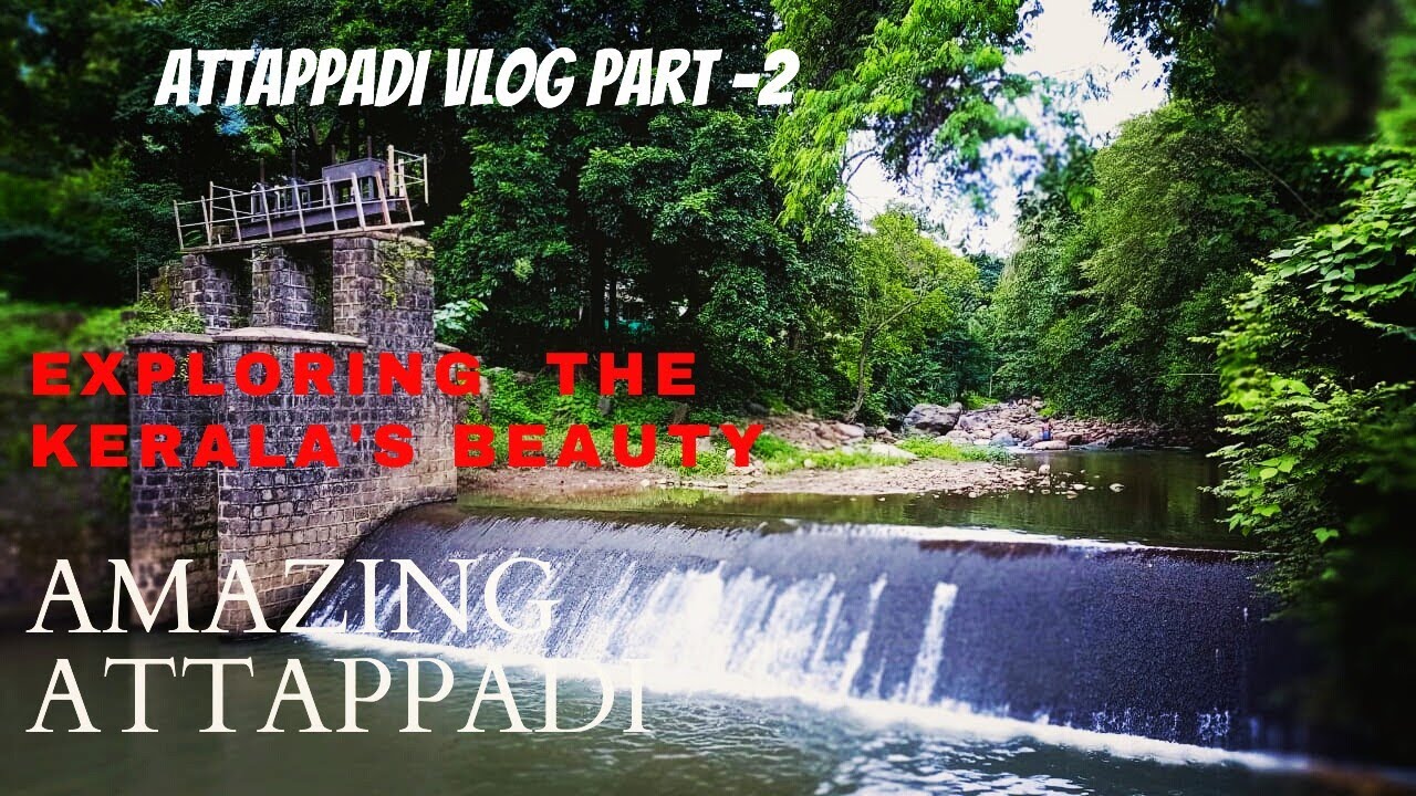 Amazing Attappadi | Attappadi Vlog Part - 2 | Beauty of Attappadyi| Travel Vlog | JOE VLOGS MEDIA |