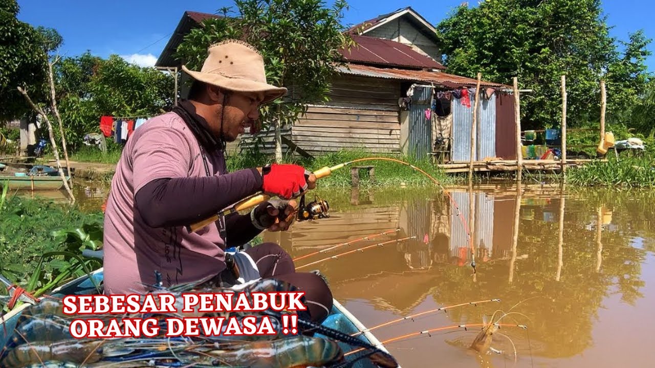 MENGENASKAN ! REJEKI NOMPLOK AWAL TAHUN, SEMUA UDANG BESAR MENGGASAK PANCING, MANCING UDANG GALAH