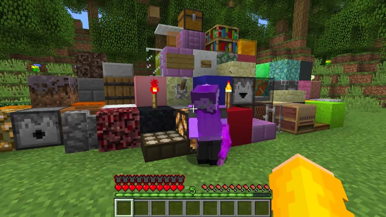 GAROTA ENDERMAN está APAIXONADA POR MIM no Minecraft