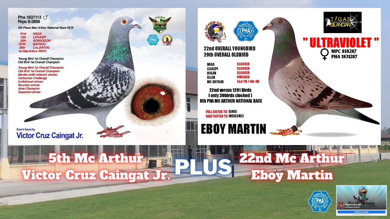 5th Mc Arthur Victor Cruz Caingat Jr. PLUS 22nd Mc Arthur Eboy Martin