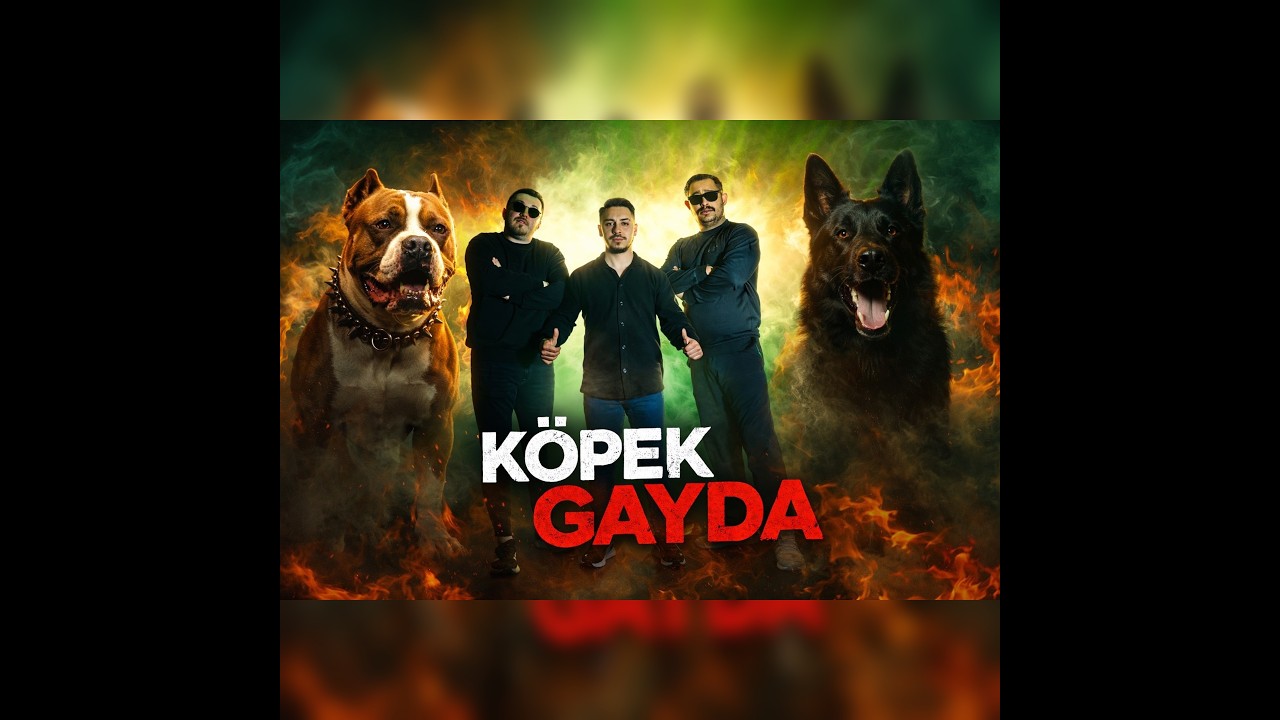 KÖPEK GAYDA - AYDIN MÜZİK - KUŞTEPELİ AYKAN - KASIM GÜÇLÜ #tiktok #köpekgayda