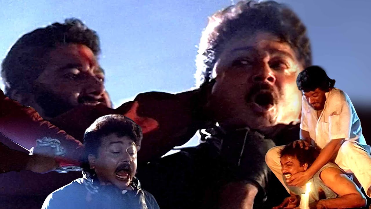 ഇട്ടിരിക്കുന്ന കുപ്പായതിന് നന്ദിയില്ലാത്ത ചെറ്റേ .|Customs Diary movie Scenes|Malayalam Movie Scenes