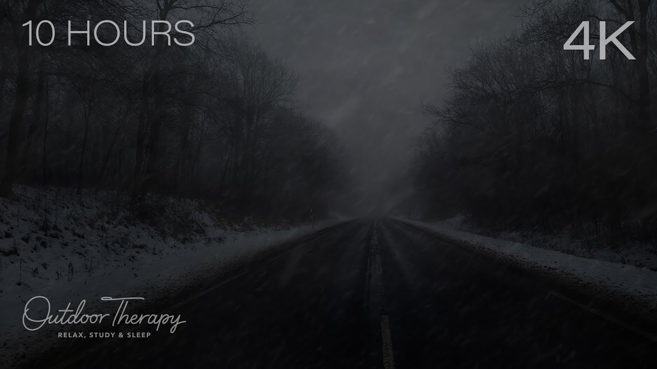 The Long Silence of a Winter Road | Howling Wind & Steady Snowfall Ambience | 10 HOURS