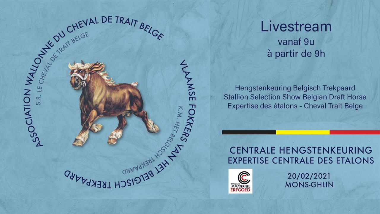 Centrale Hengstenkeuring - Expertise Centrale des Etalons (Mons-Ghlin)