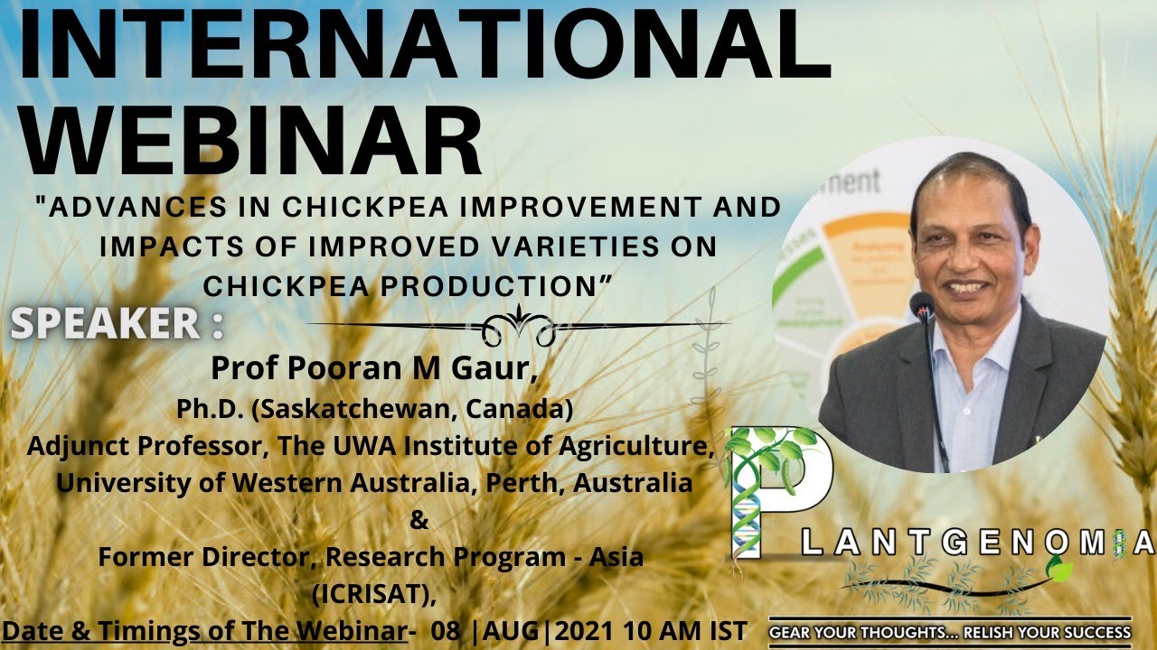 International Web On Advances in chickpea improvement and impacts of improved varieties on chickpea