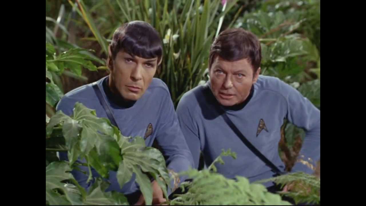 Spock/McCoy- Head Games