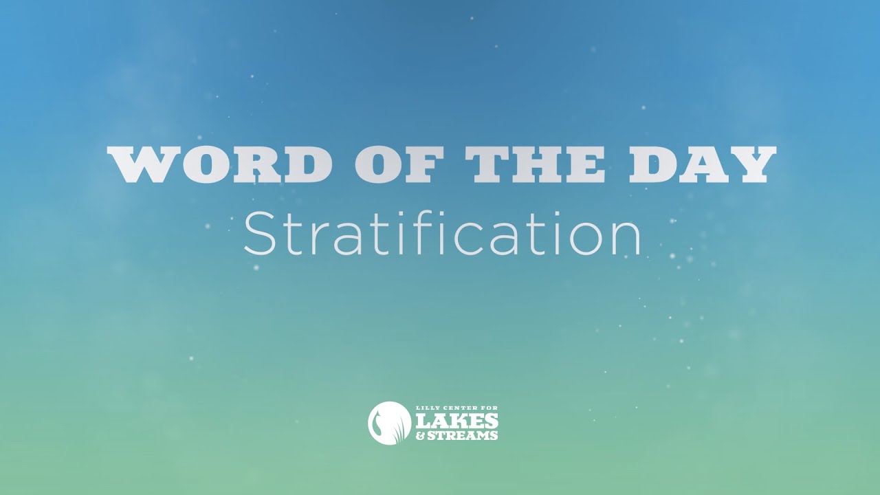 Lake Doctor | Let's Learn About Stratification