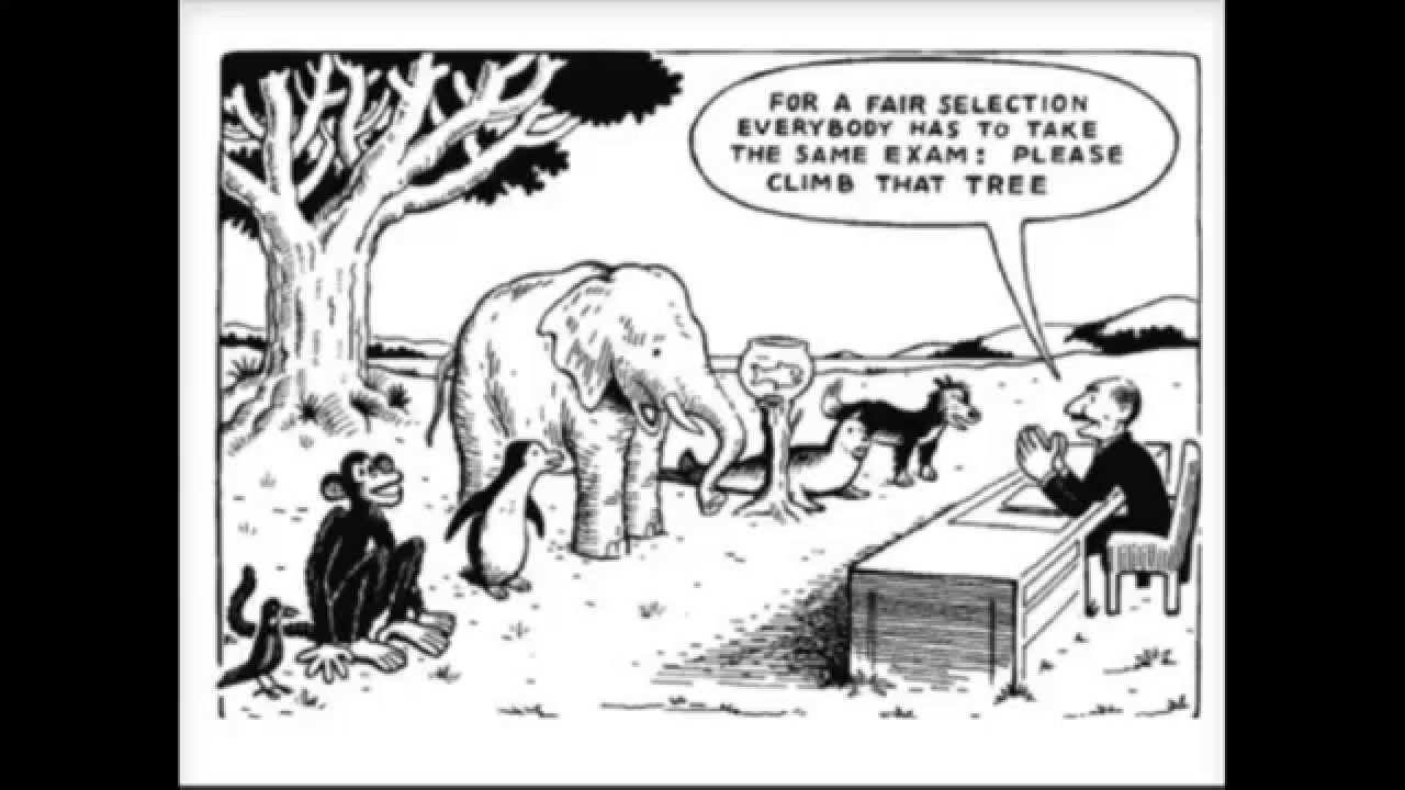 EDU 511 Curriculum Analysis