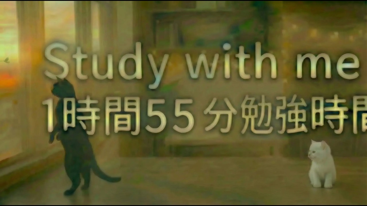【study with me】1h55m / no bgm 一緒に１時間５５分勉強しませんか？