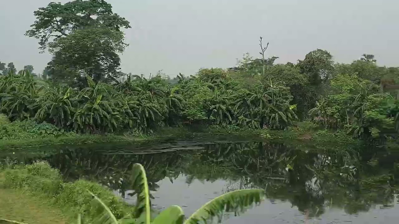 যাত্রা করার পথে কত গ্রাম্য সৌন্দর্য উপভোগ করা যায় | Village Journey Beauty