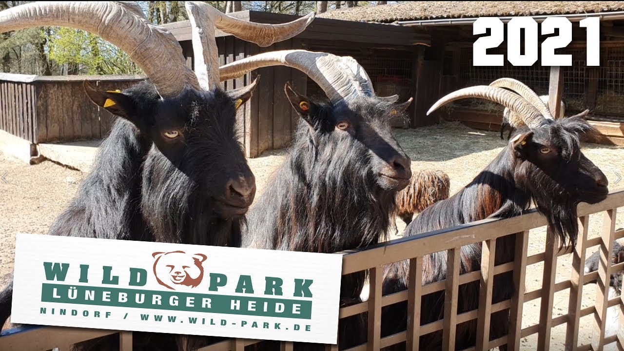 Wild Park Lüneburger Heide 2021