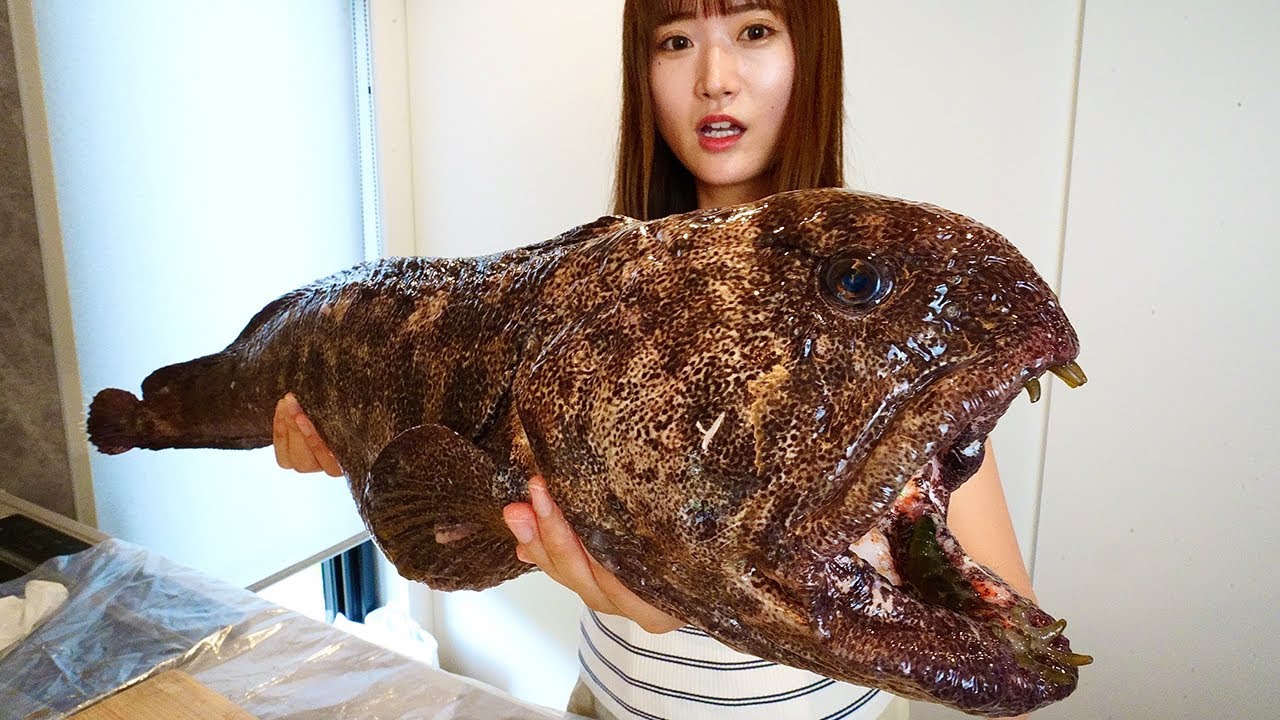 【閲覧注意】危険な牙を持つ魚を捌いて食べてみたらまさかの味...