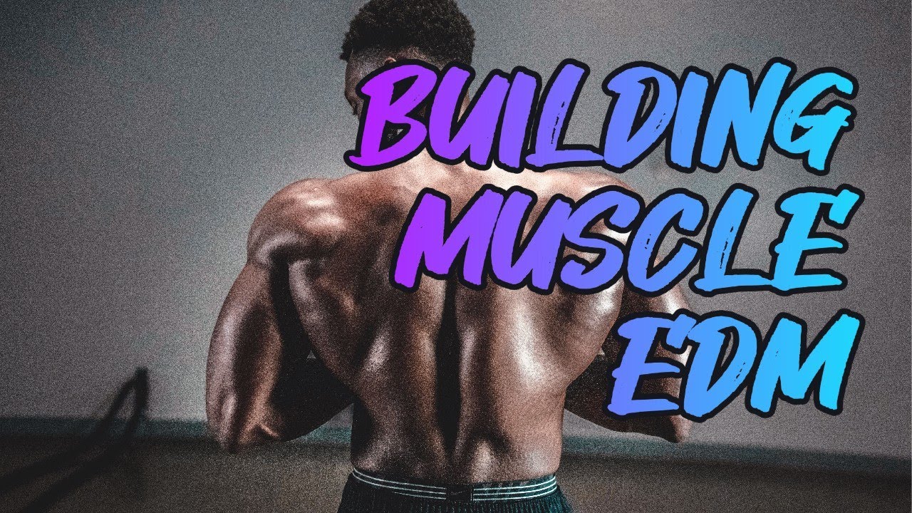 Workout Playlist Ultimate Gym Motivation EDM Mix | High Energy Workout Music