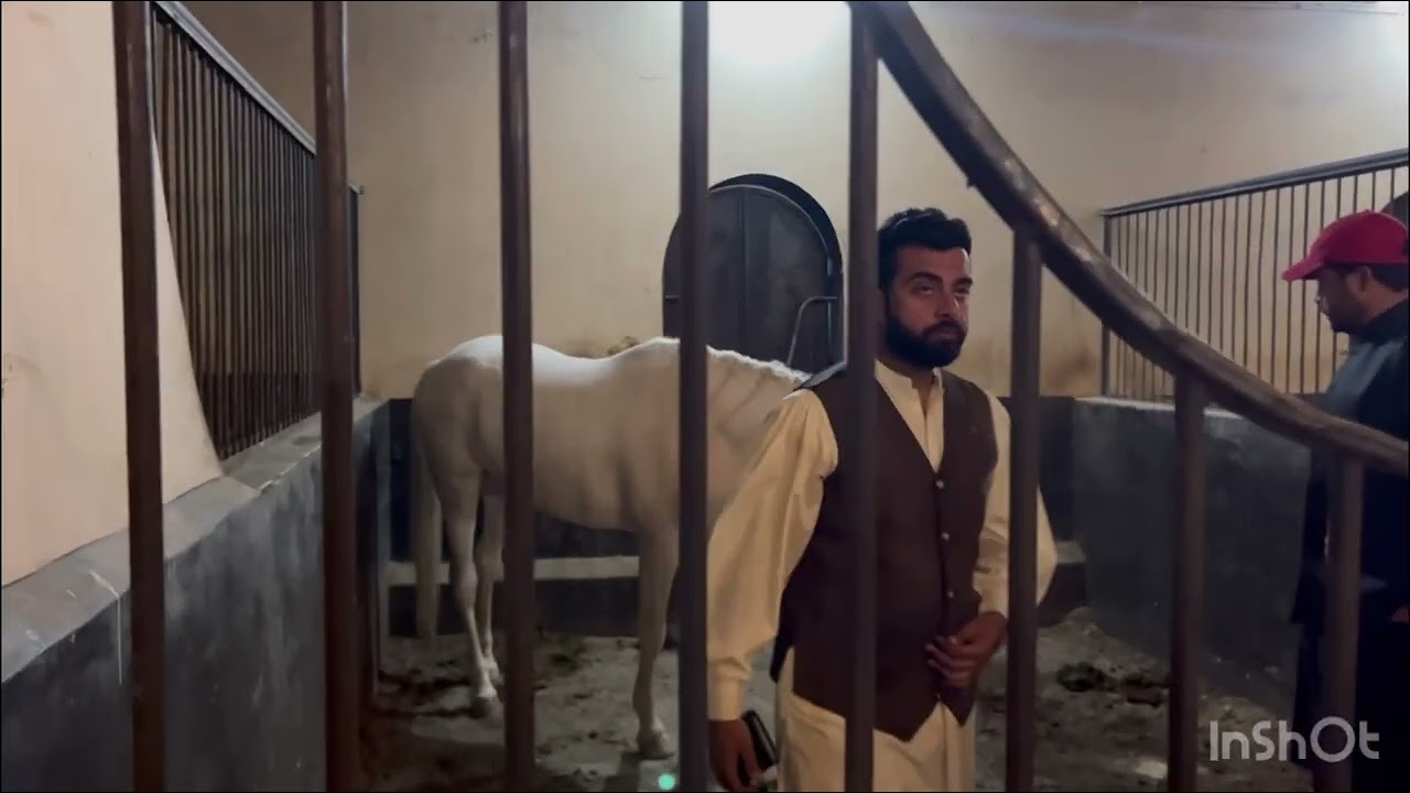 Pindi Gheb Nezabazi Vlog | Visited Nawab Arsalan’s Farm House | Barish ki wjah sy nezabazi cancel