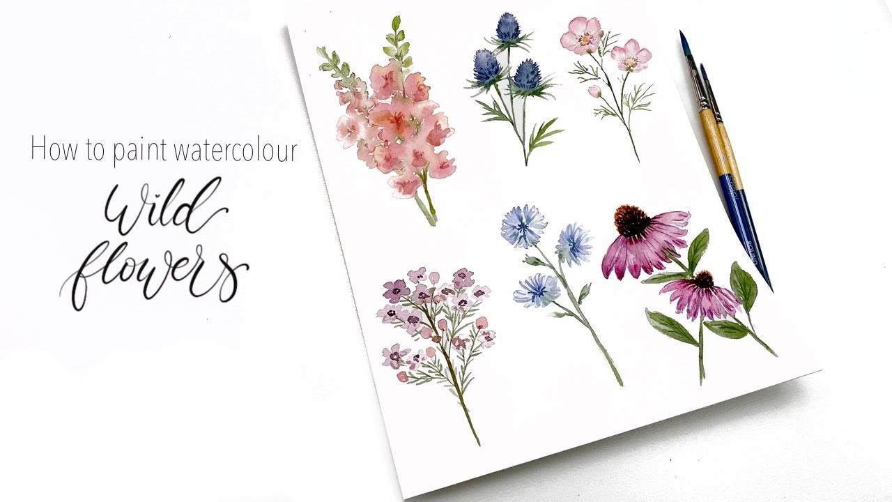 Как рисовать акварелью полевые цветы