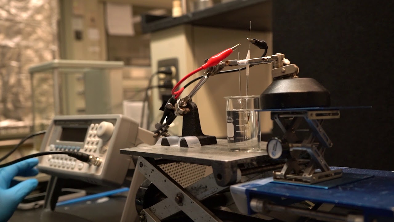 Tour an analytical chemistry lab at Wayne State University