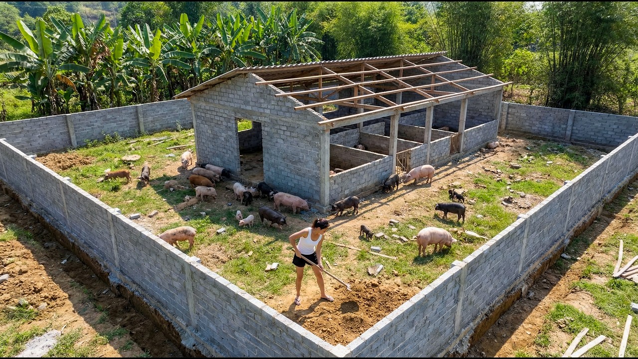 REWIND TIMELAPSE - Building a Massive 1000m&sup2; Pig Farm Behind the New House