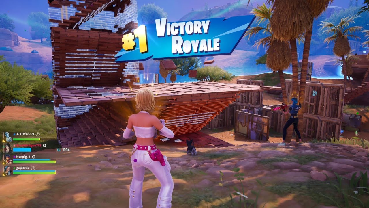 Fortnite Cat Holloway Quints Win PS5 Gameplay 