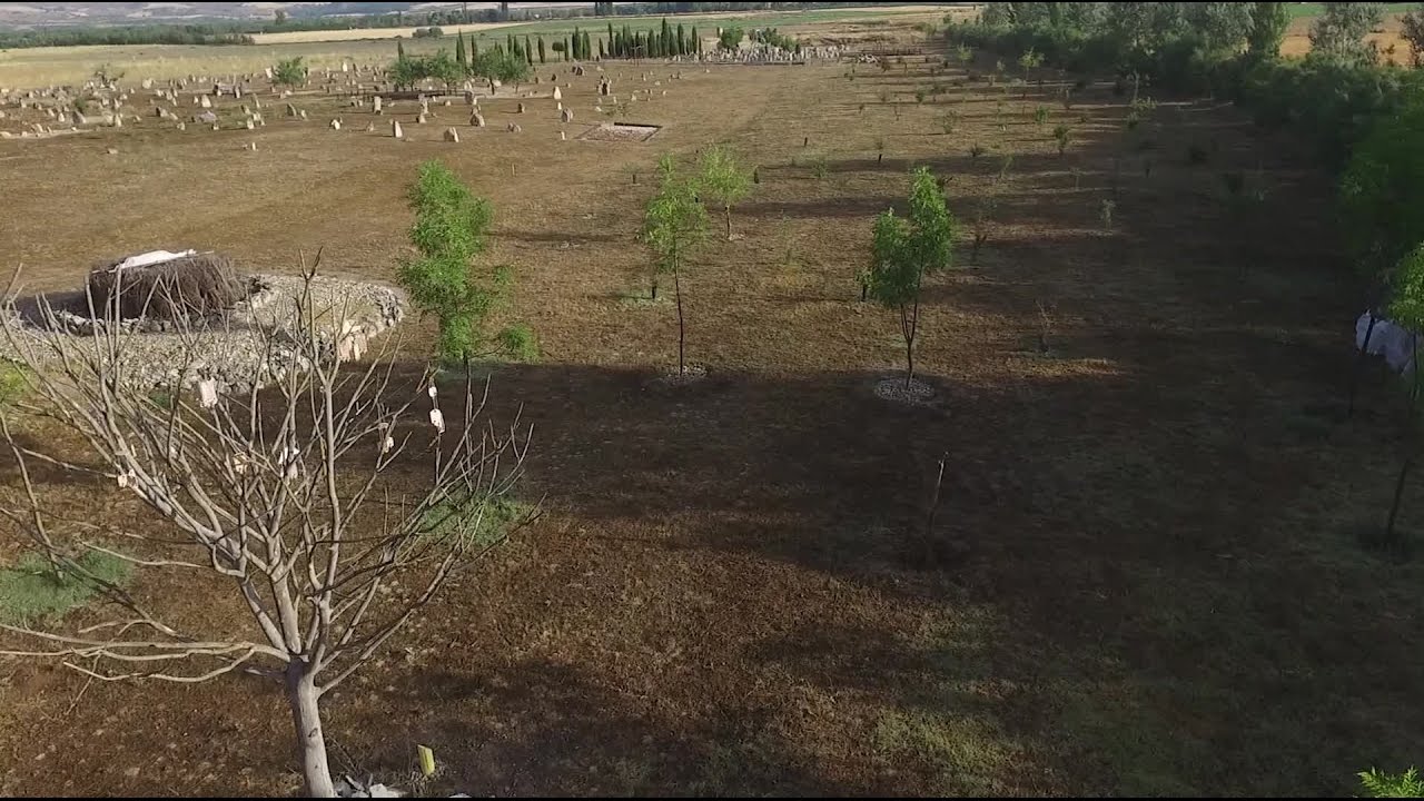 THE NECROPOLIS OF PINTIA (LAS RUEDAS), A BIRD'S-EYE VIEW