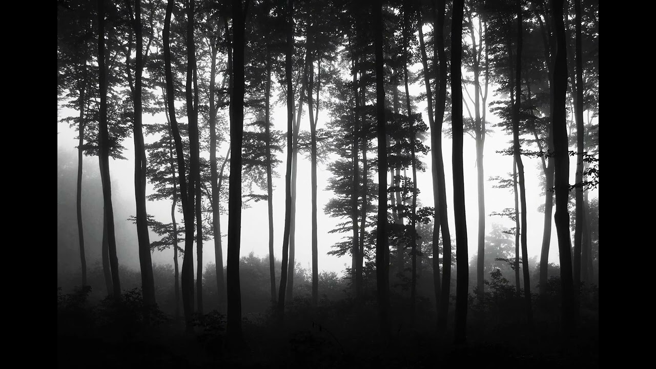 suspenseful horror ambience | the killer fog experience | narra
