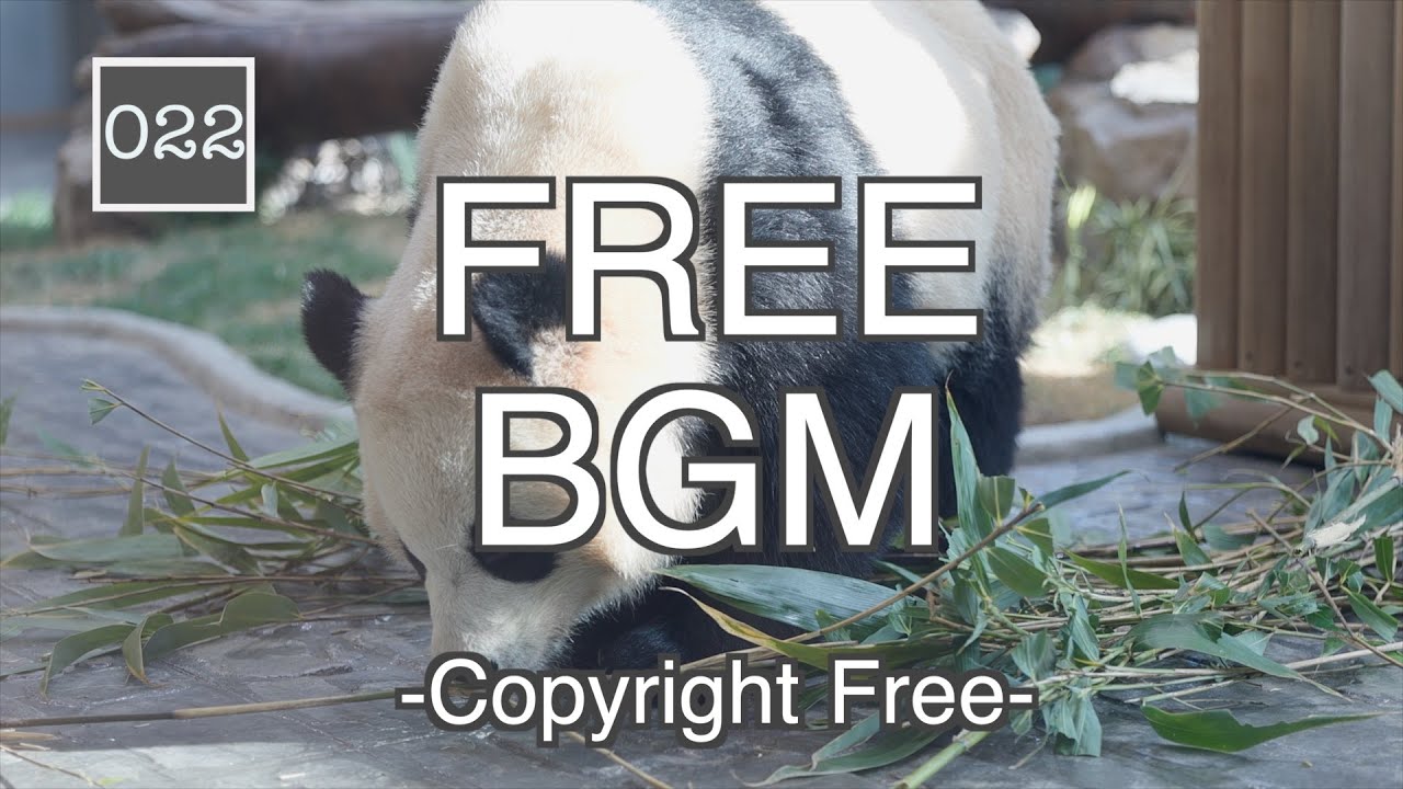 [022]🎧FREE BGM/마음이 차분해지는 평화로운 발라드 배경음악, 아무 생각 없이 틀어두기 좋아요