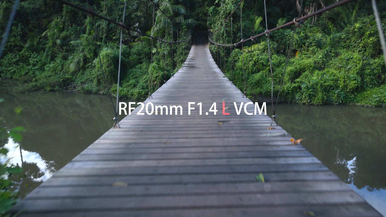 Introducing RF20mm F1.4 L VCM &ldquo;Forest&rdquo; (Canon Official)