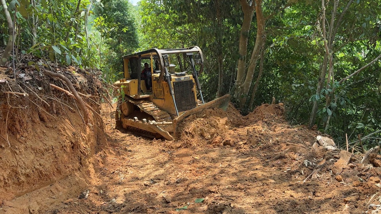 The D6R XL Bulldozer Helps Realize Sustainable Plantations