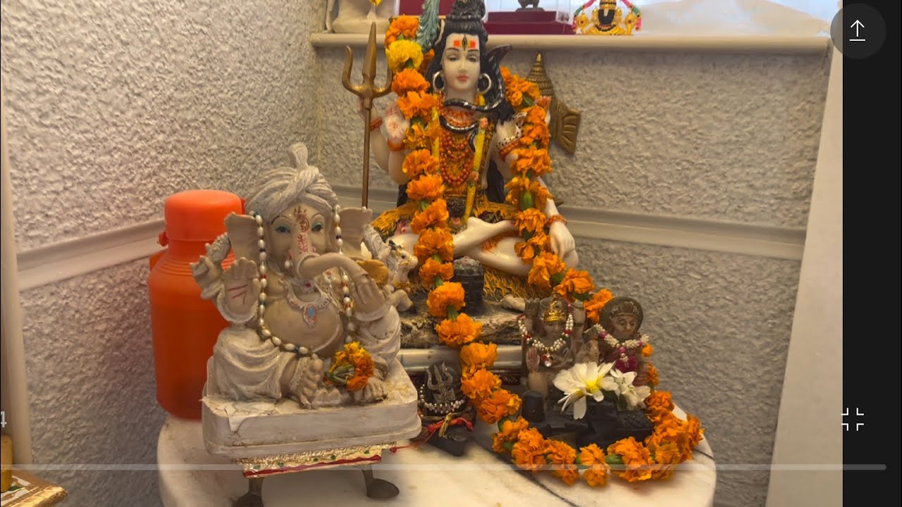 आज का दिन महादेव के नाम : हमारा शिवरात्रि महोत्सव 🕉️🙏