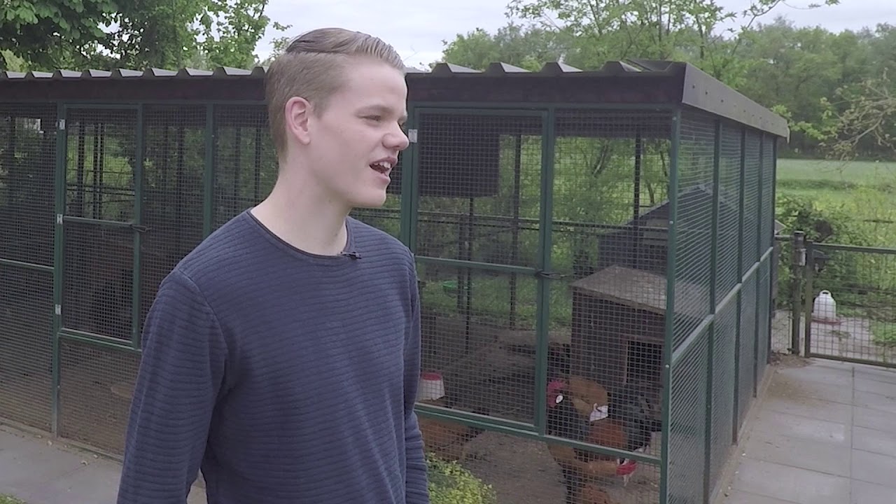 Vorwerkhoenders fokken (Aflevering 2)