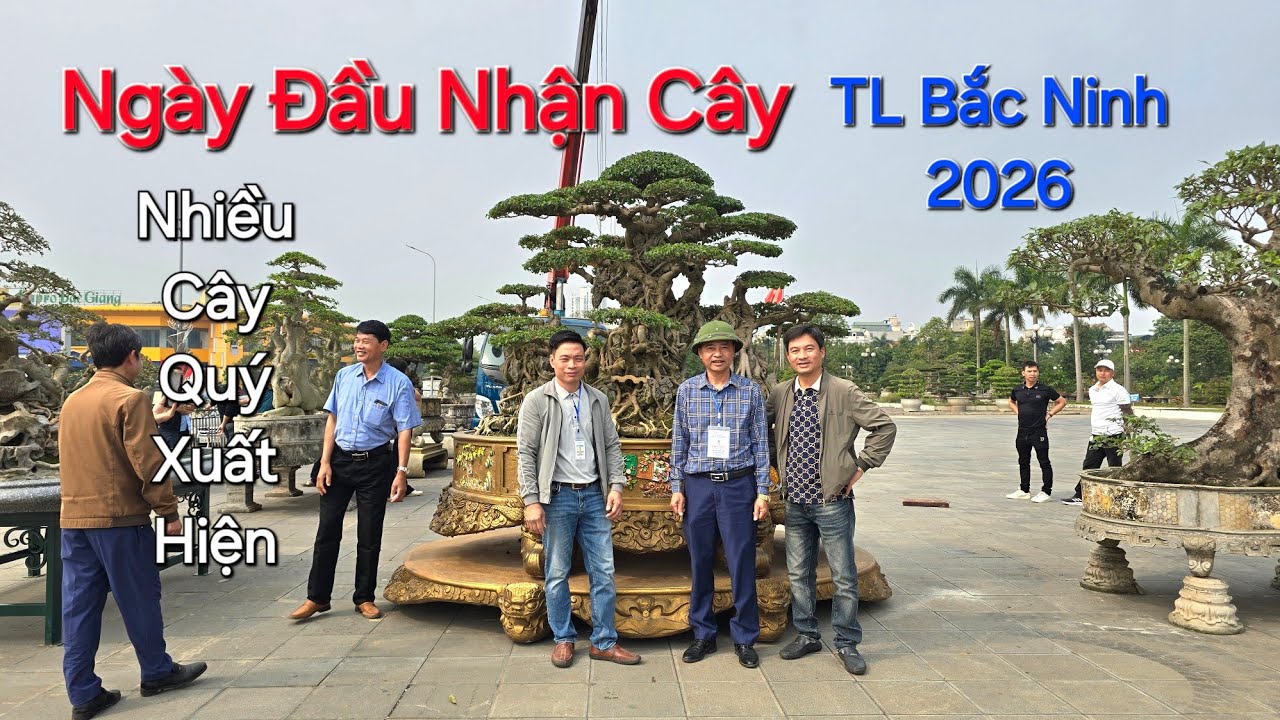 Tin Mới ! TOÀN CẢNH NGÀY ĐẦU NHẬN CÂY tại TL BẮC NINH - NHIỀU CÂY QUÝ XUẤT HIỆN .