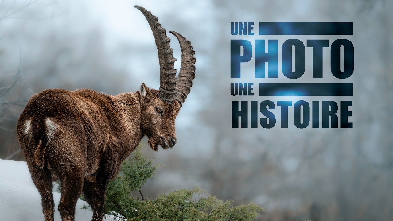 Une aventure pleine de surprises [Une photo une histoire épisode 5]