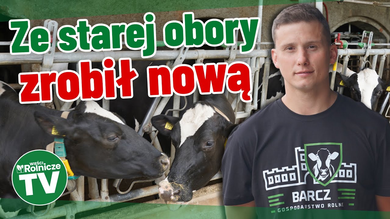 Ma 22 ha i 72 krowy. Ze starej obory zrobił nową. Pracuje w niej ze szwagrem