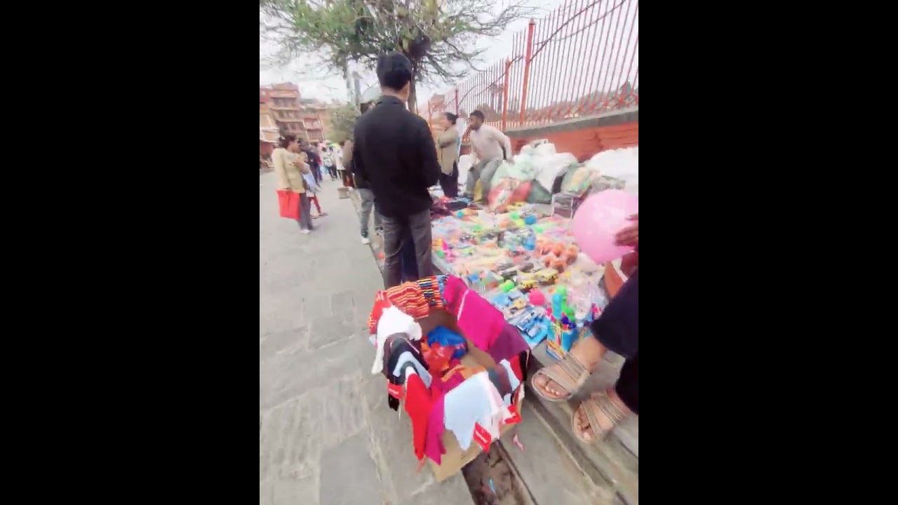 Pashupati temple visit