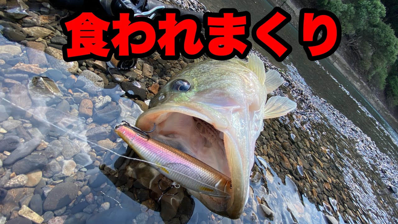 やっぱこのルアーえぐいわ…